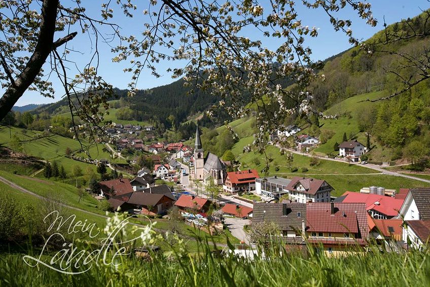 Blick auf Bad Peterstal-Griesbach