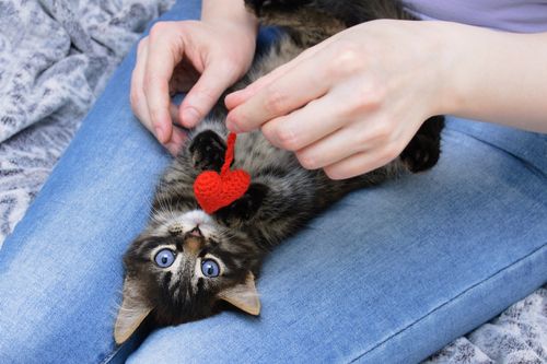 Katze spielt mit einem roten gehäkelten Herzchen