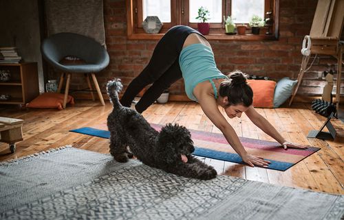 Frau und Hund machen Yoga im Wohnzimmer