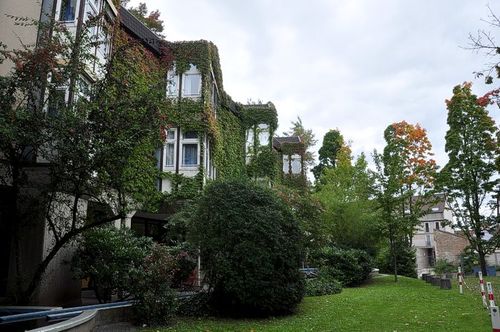 Bewachsene Häuser sind ebenfalls Teil des Neckarauer Stadbildes