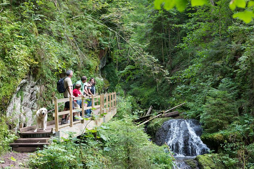 Wanderer erkunden den Schluchtensteig im Naturpark Südschwarzwald