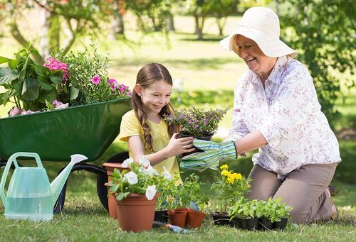 Rückenschmerzen bei Gartenarbeit vermeiden