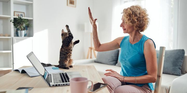 Frau mit Katze im Homeoffice gibt ihr High Five