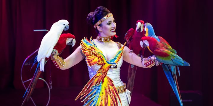 Zirkus Charles Knie - Papageien-Show mit Laura Urunova