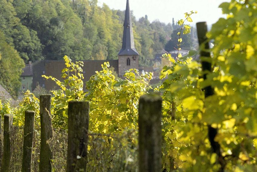 Weintradition in Baden-Württemberg und Deutschland