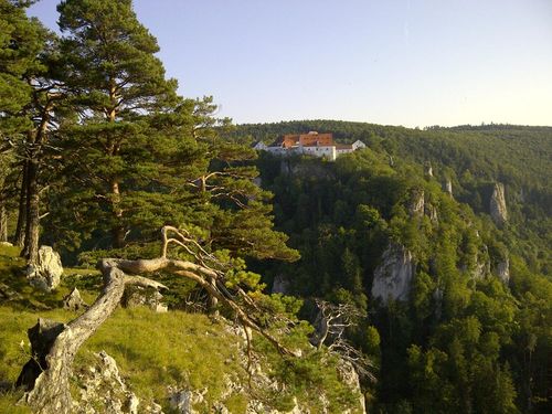 Blick auf Burg Wildenstein