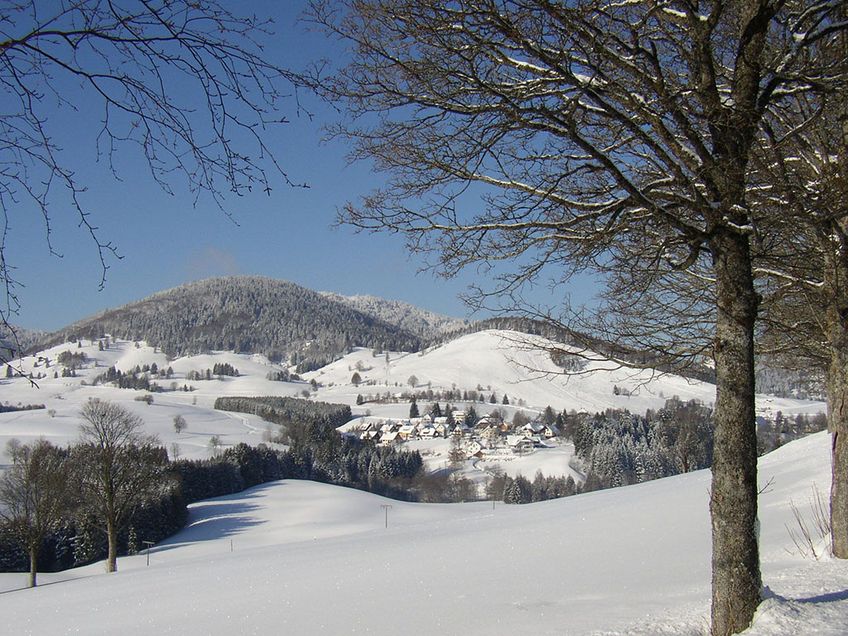 Winterrodelbahn Bernau