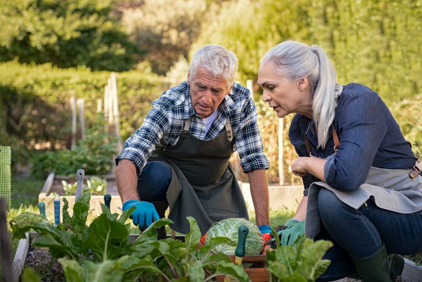 Seniorenpaar bei der Gartenarbeit