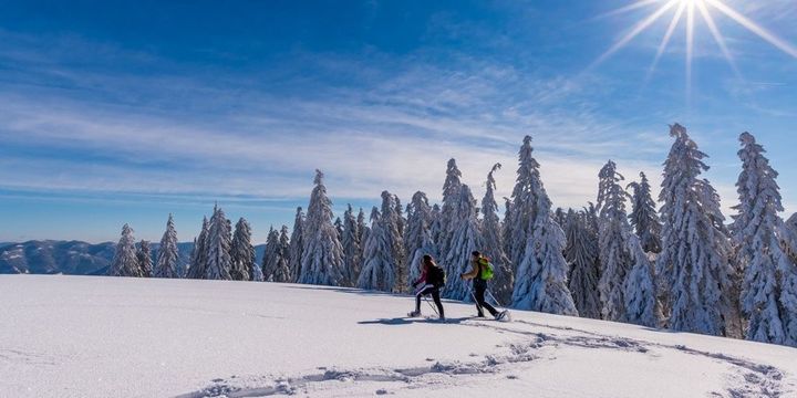 Zwei Wanderer mit Schneeschuhen am Belchen bei Sonnenschein 