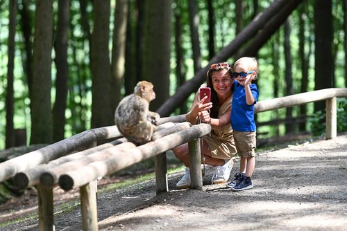 Mutter mit Kind fotografieren einen Affen