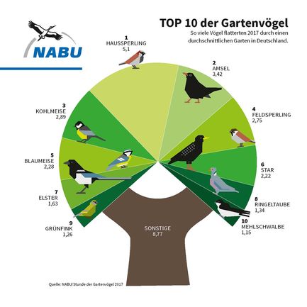 NABU-TOP 10 der Gartenvögel