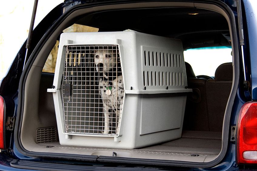 Carparts-Online 29954 Alu Hunde Tier Reise Auto Transport Box mit Tür 