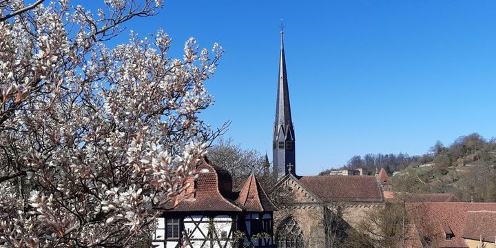 Kloster Maulbronn im Frühling
