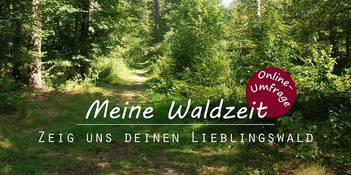 Lieblingswald-Umfrage von ForstBW