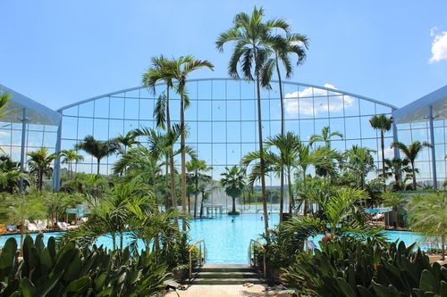Karibik-Flair mit Palmen in der Badewelt Sinsheim