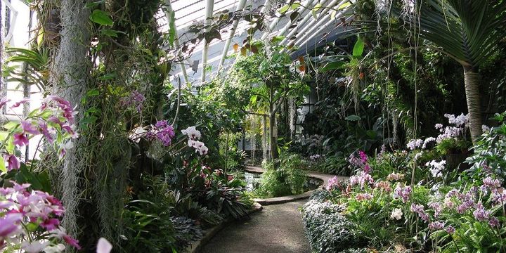 Botanischer Garten Karlsruhe - Tropenhaus