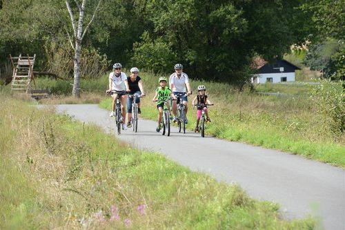 Radtour auf dem Odenwald-Madonnen-Radweg