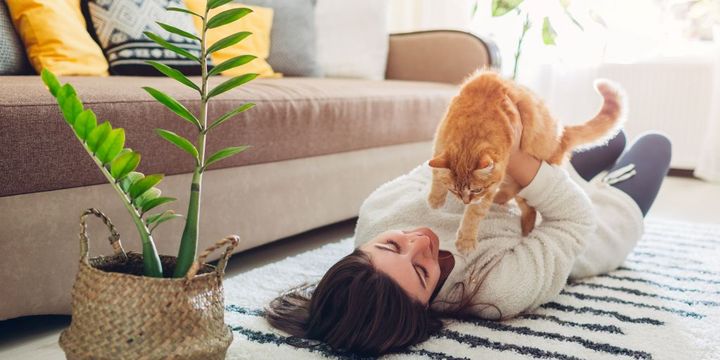 Junge Frau spielt mit Katze im Wohnzimmer
