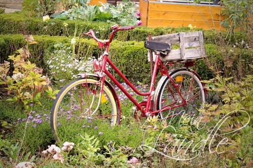Fahrrad in einem Garten bei der Hofladen-Tour durch Baden