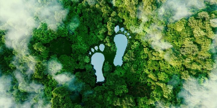 Waldgebiet, ökologischer Fußabdruck, Symbolbild 