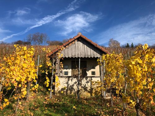 Weinland Württemberg: Rund um Gundelsbach - Winzerhütte in den Reben