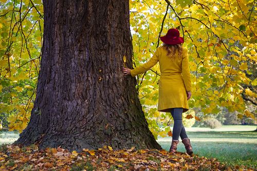 Herbstlicher Mantel in gelb