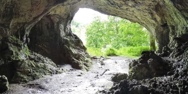 Hohlenstein-Stadel Höhle