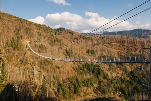 Die Hängebrücke spannt sich über den Wald von Todtnauberg