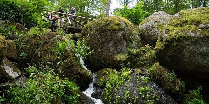 Gaishöll-Wasserfälle bei Sasbachwalden