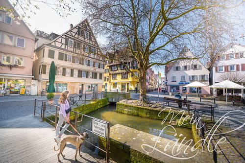 Frau geht mit Hund in der Tübinger Altstadt spazieren