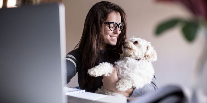 Frau mit ihrem Hund am PC