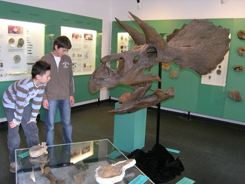Blick in das erste OG mit Jurafossilien und Triceratopskopf aus der Kreidezeit.