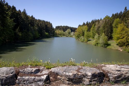 Blick auf den Eisenbachsee.