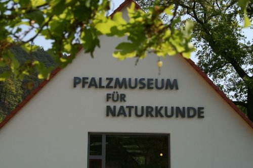 Pfalzmuseum für Naturkunde