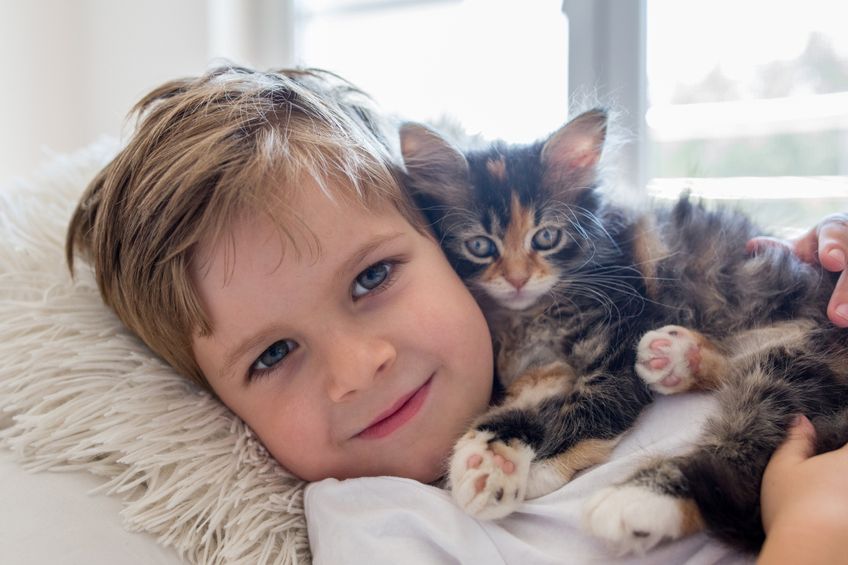 Kleiner Junge mit Kitten