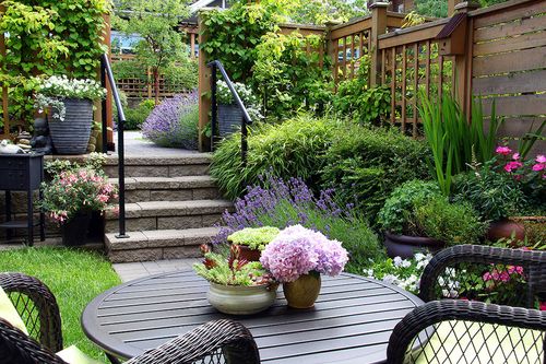 Hortensien auf Gartentisch als Dekoration