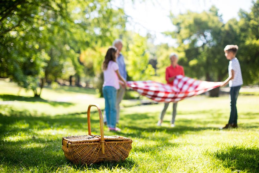 Picknick ohne Plastik gestalten