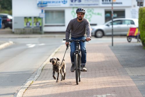 Mann mit Hund fährt Rad auf Radweg