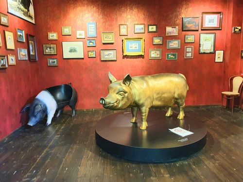 Goldenes Schwein im Schweinemuseum Stuttgart