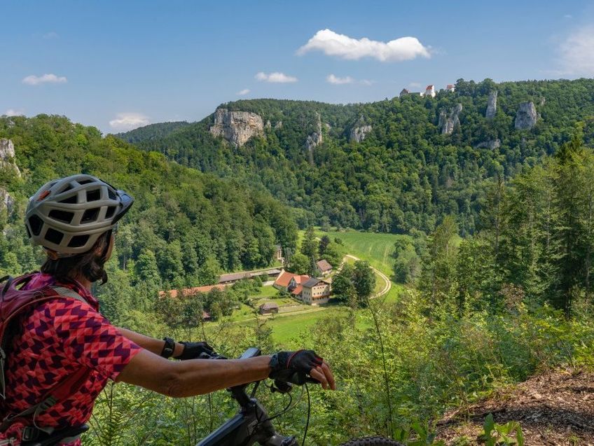 Eine Frau mit Fahrrad blickt über das Donautal.