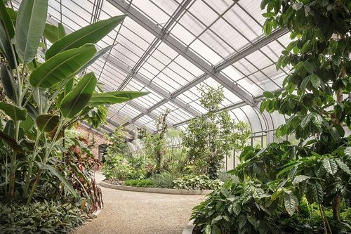 Botanischer Garten Karlsruhe - Gewächshaus