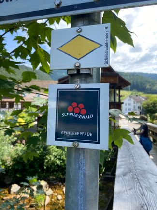 Wegweiser im Schwarzwald mit Bollenhutmotiv