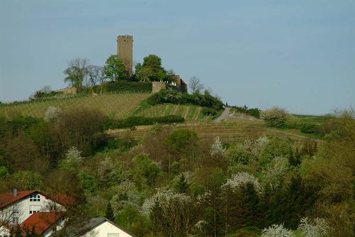 Burg Ravensburg