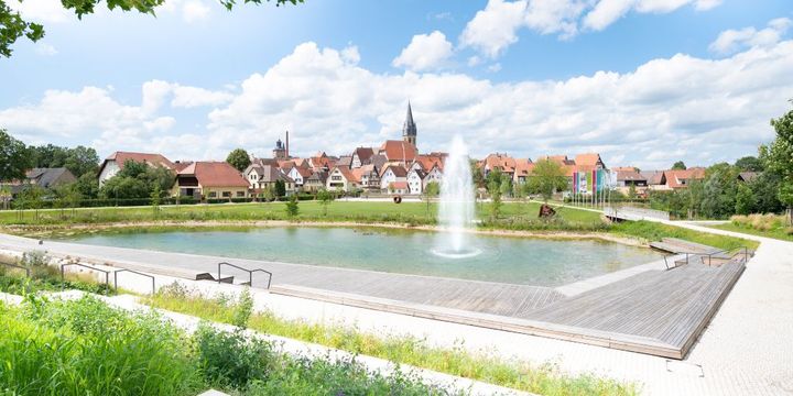 Gartenschau Eppingen 2022: Altstadt-Ansicht