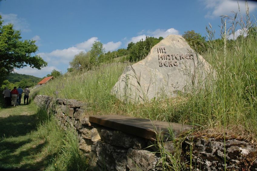 Eine Holzbank an einer niedrigen Steinmauer neben einer Wildblumenwiese. Auf der Blumenwiese steht ein großer Stein mit der Aufschrift "Im Hinteren Berg".