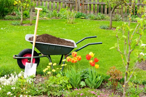 Schubkarre mit Erde im Gartenbeet im Frühling