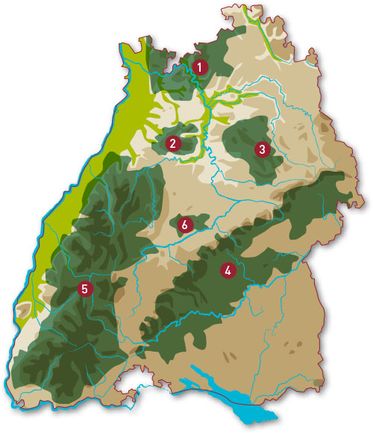 Die 6 größten Waldgebiete in Baden-Württemberg